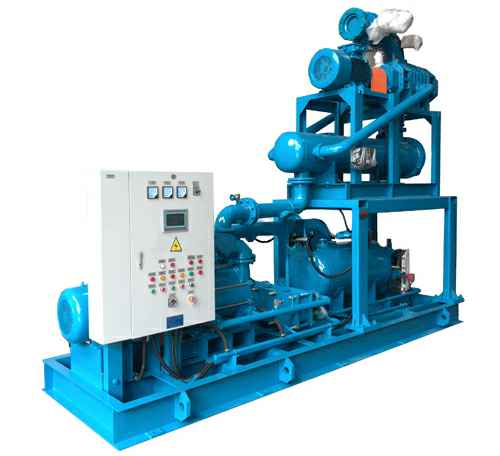 深圳立德特色农产品开发有限公司2BW9电厂节能真空机组